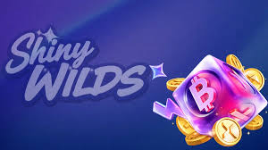 Recensione del casinò online ShinyWilds 2026 Recensione del casinò online ShinyWilds 2026